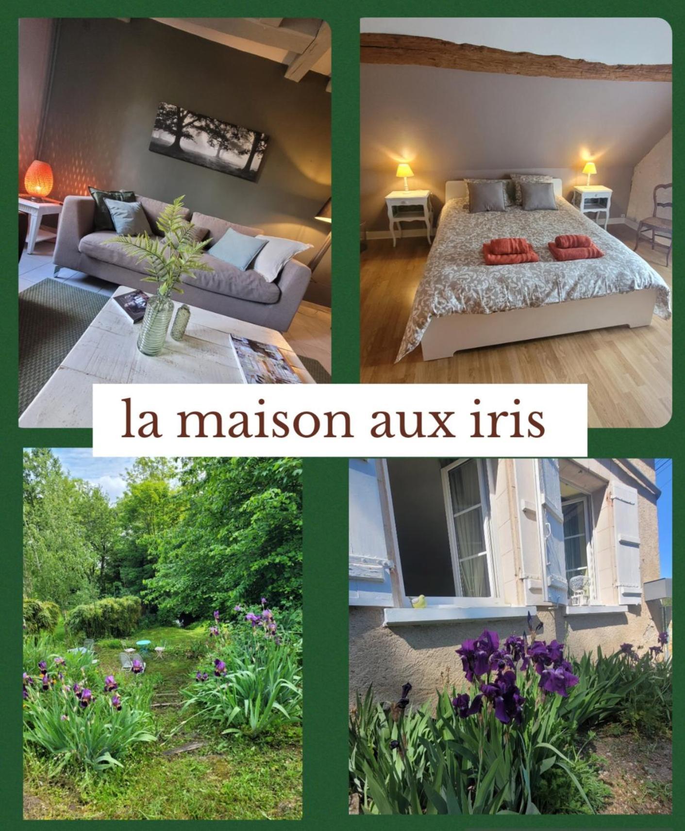La Maison Aux Iris Pocé-sur-Cisse Exterior photo