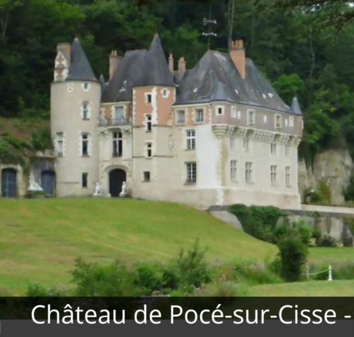 La Maison Aux Iris Pocé-sur-Cisse Exterior photo