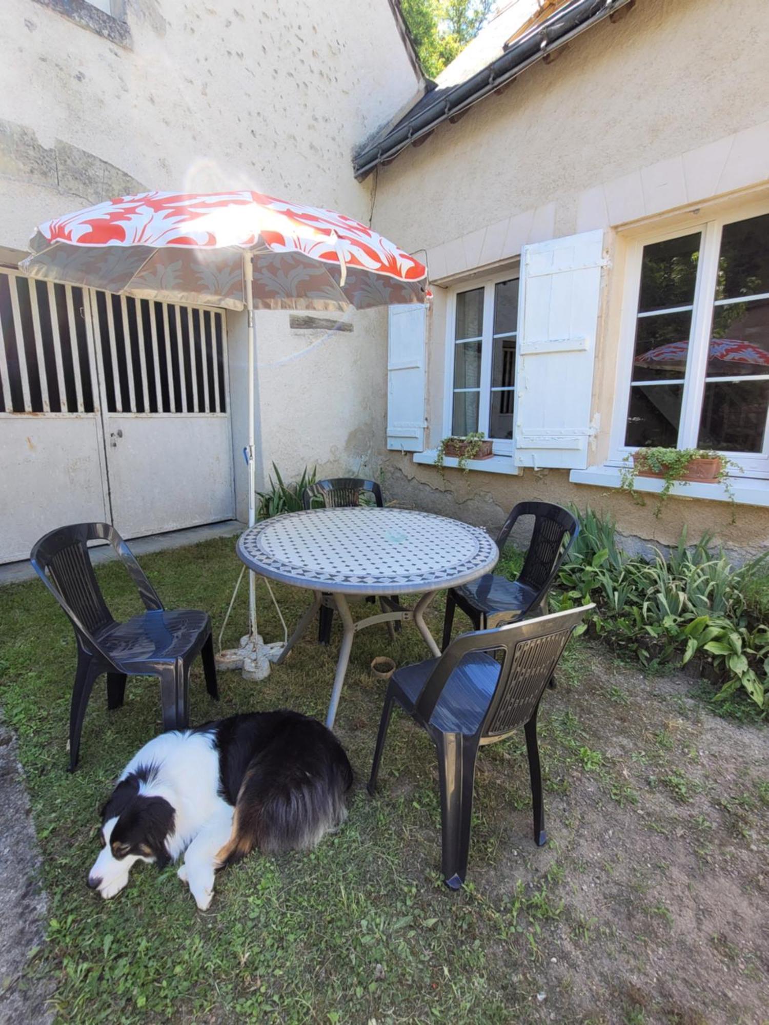 La Maison Aux Iris Pocé-sur-Cisse Exterior photo